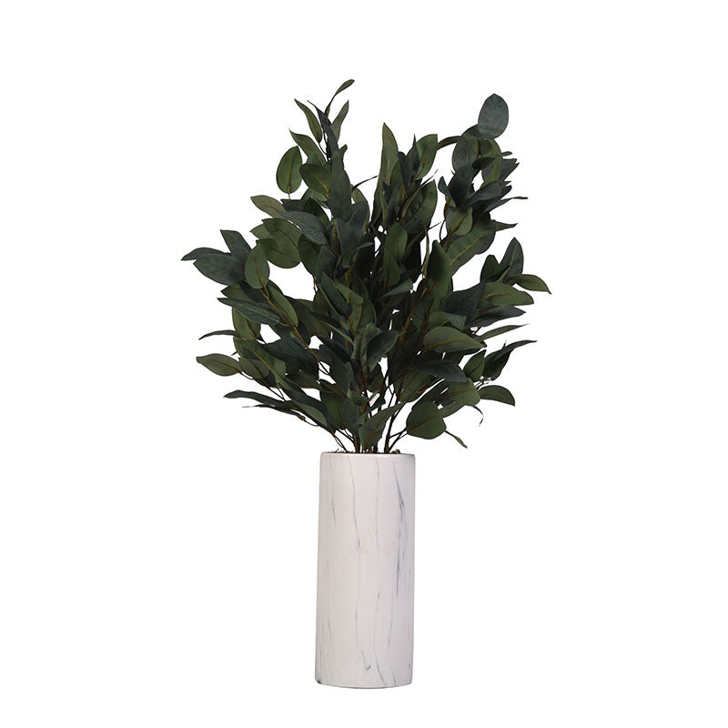 Planta Gray Eucalyptus