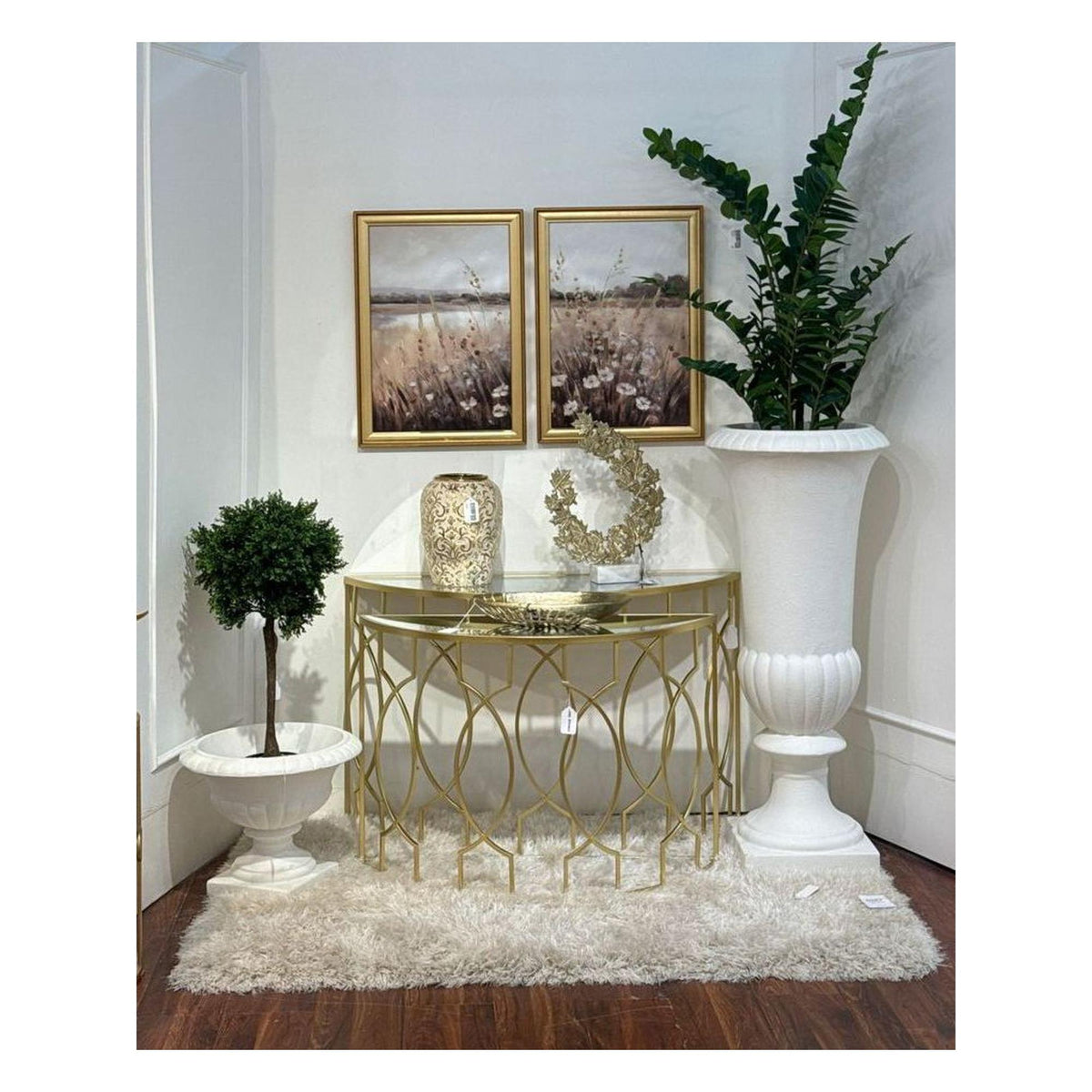 Planta Zamifolia con Pote