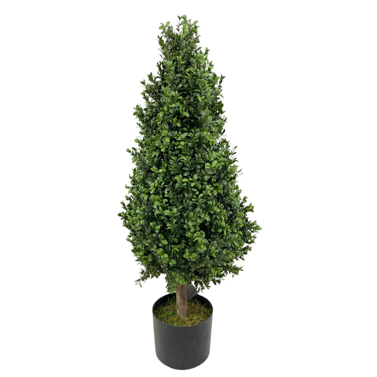 Planta Buxus artificial con pote