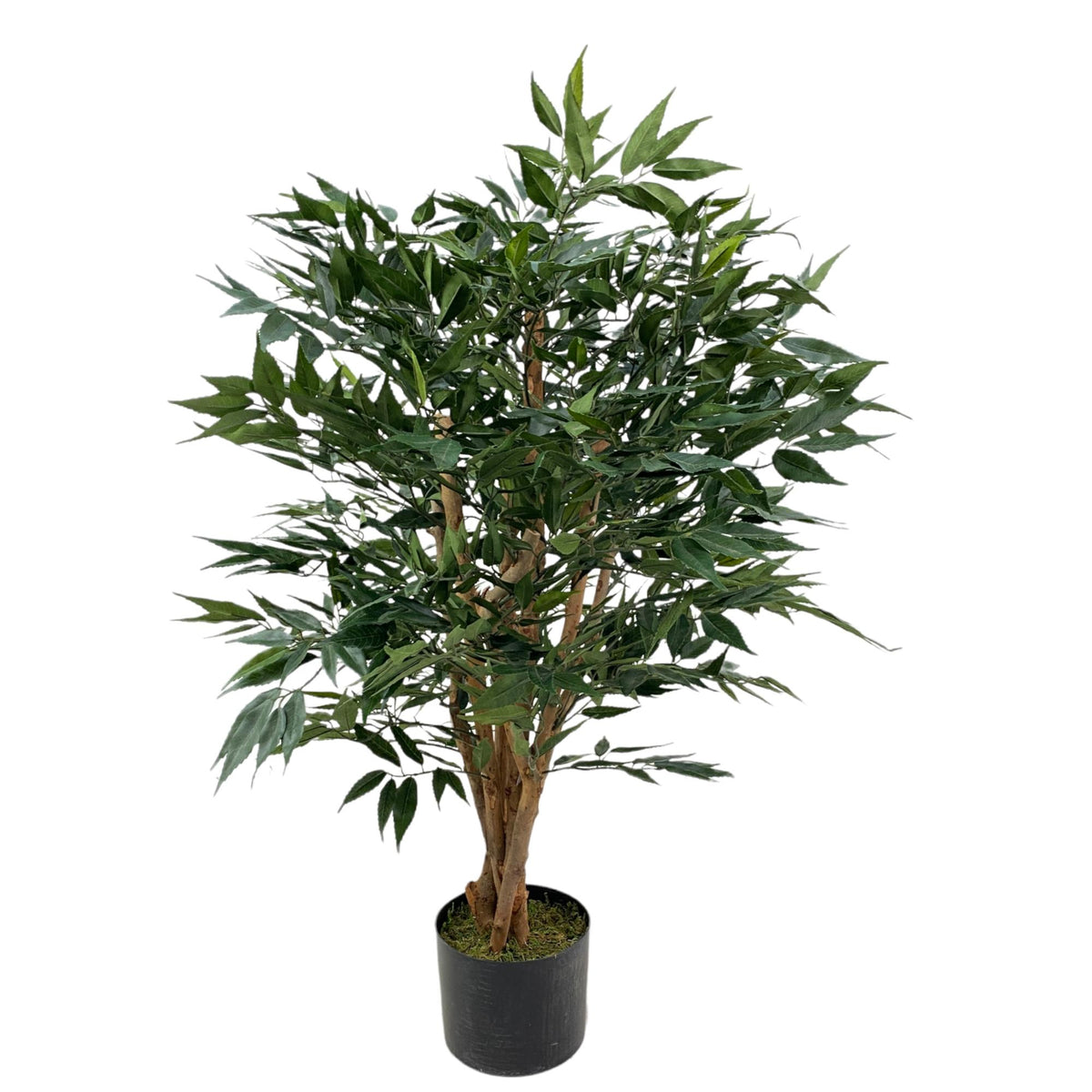 Planta Fraxinus artificial con pote