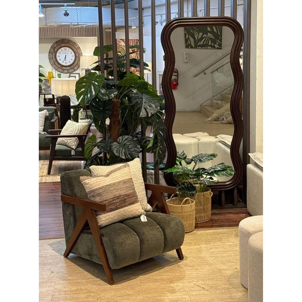 Planta Monstera con Pote