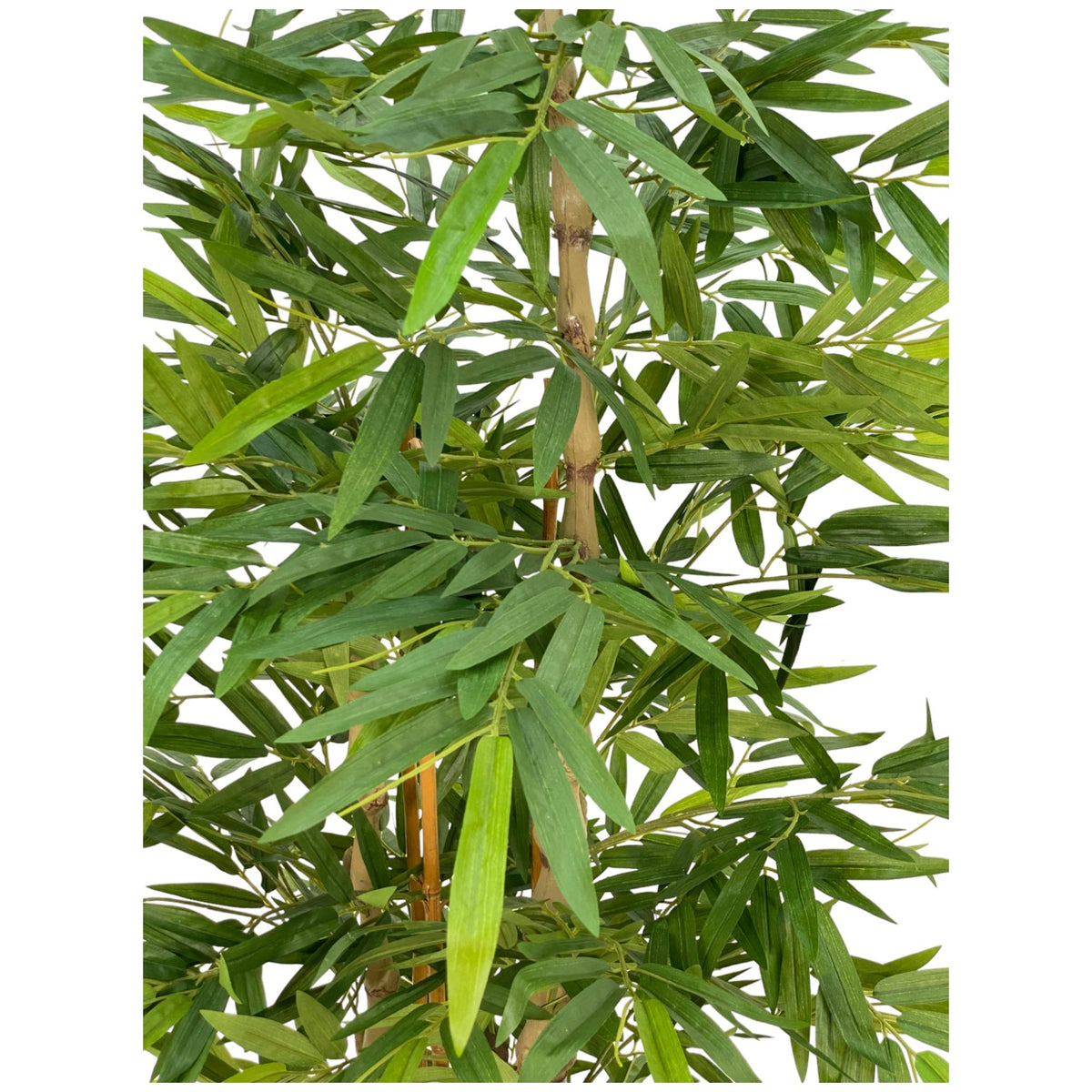 Árbol Bambú Decorativo