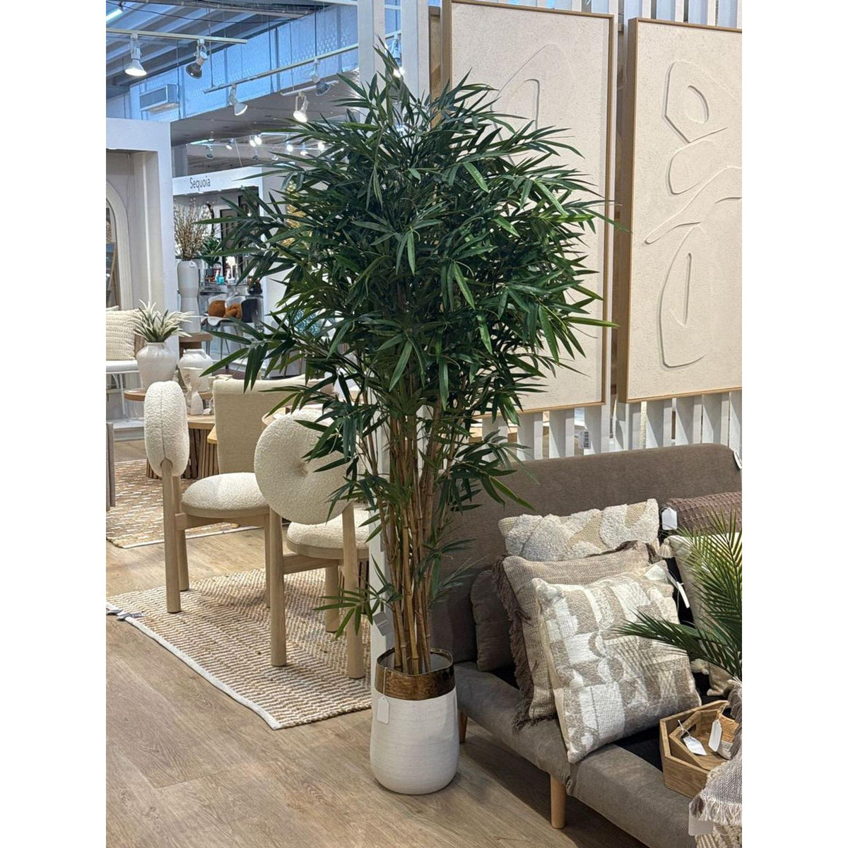 Planta Bambú con Pote 2