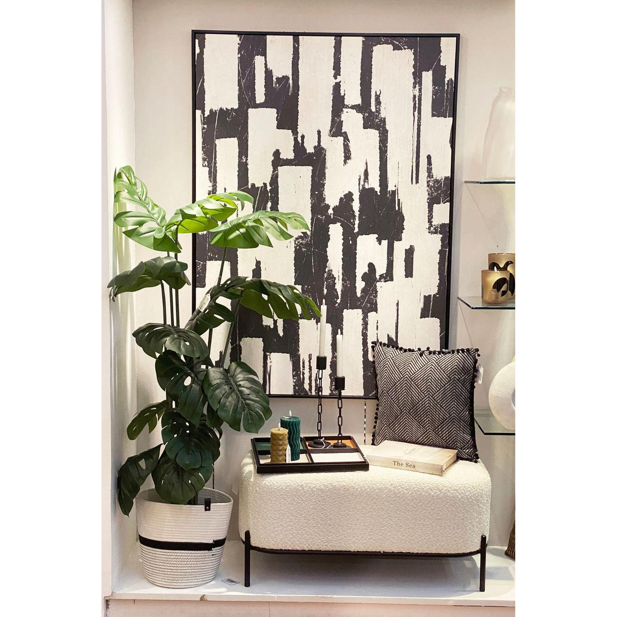 Planta Monstera Mediana con Pote