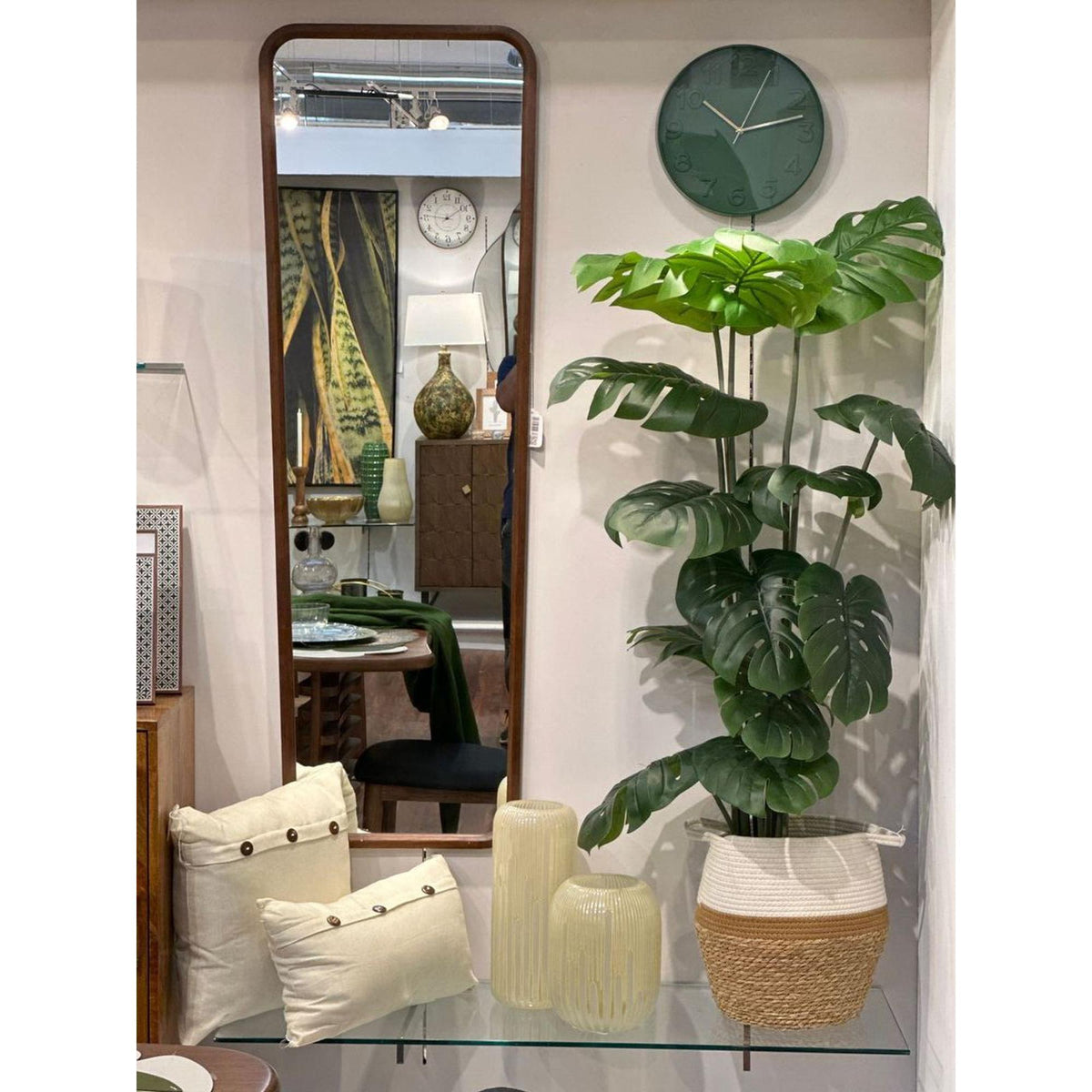 Planta Monstera Mediana con Pote