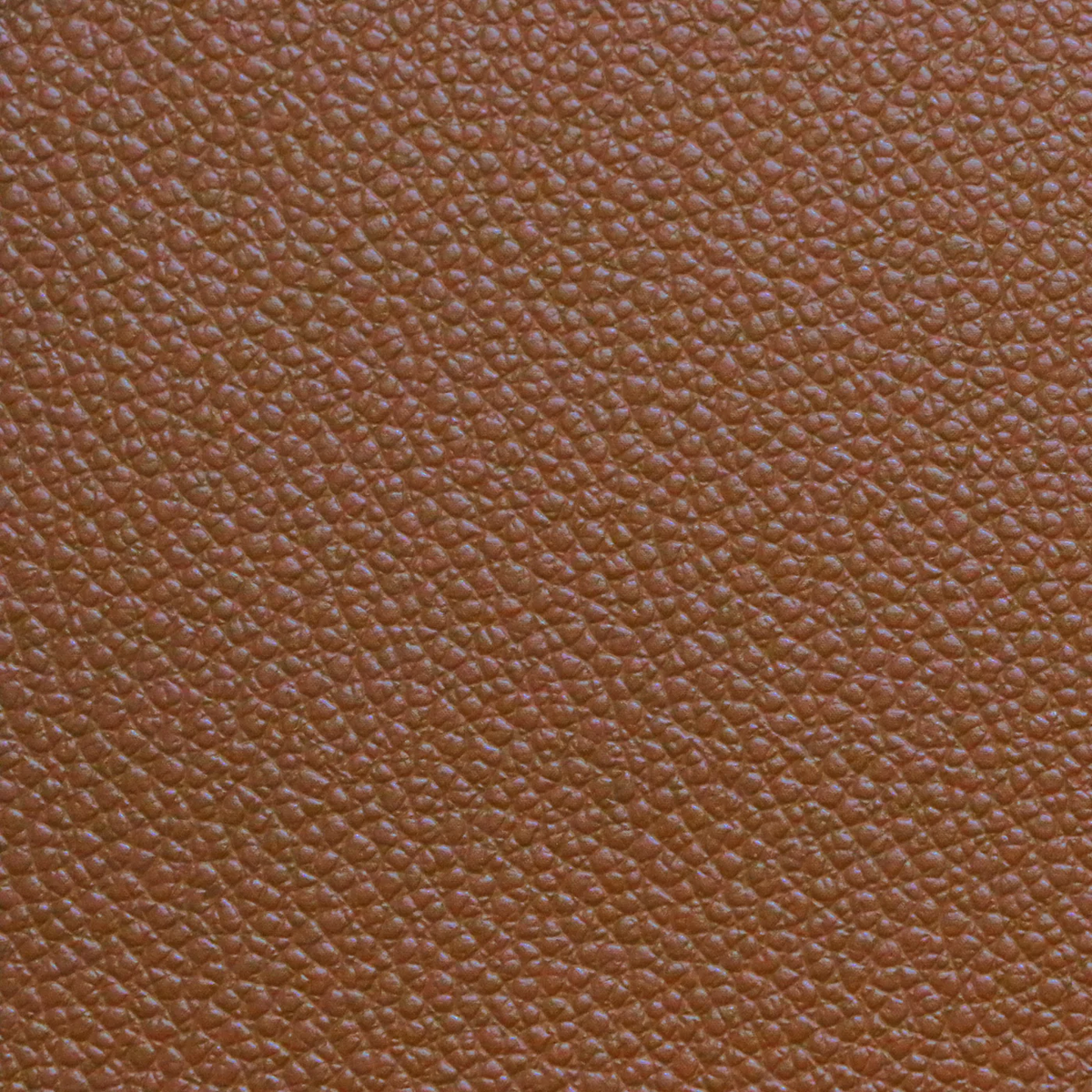 Silla de comedor Wing Leather