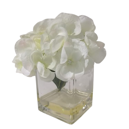 Mini Arreglo Hortensia Blanca