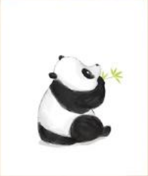 Cuadro Panda Sentado